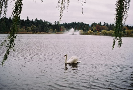 North view of Lost Lagoon, Vancouver, Canada